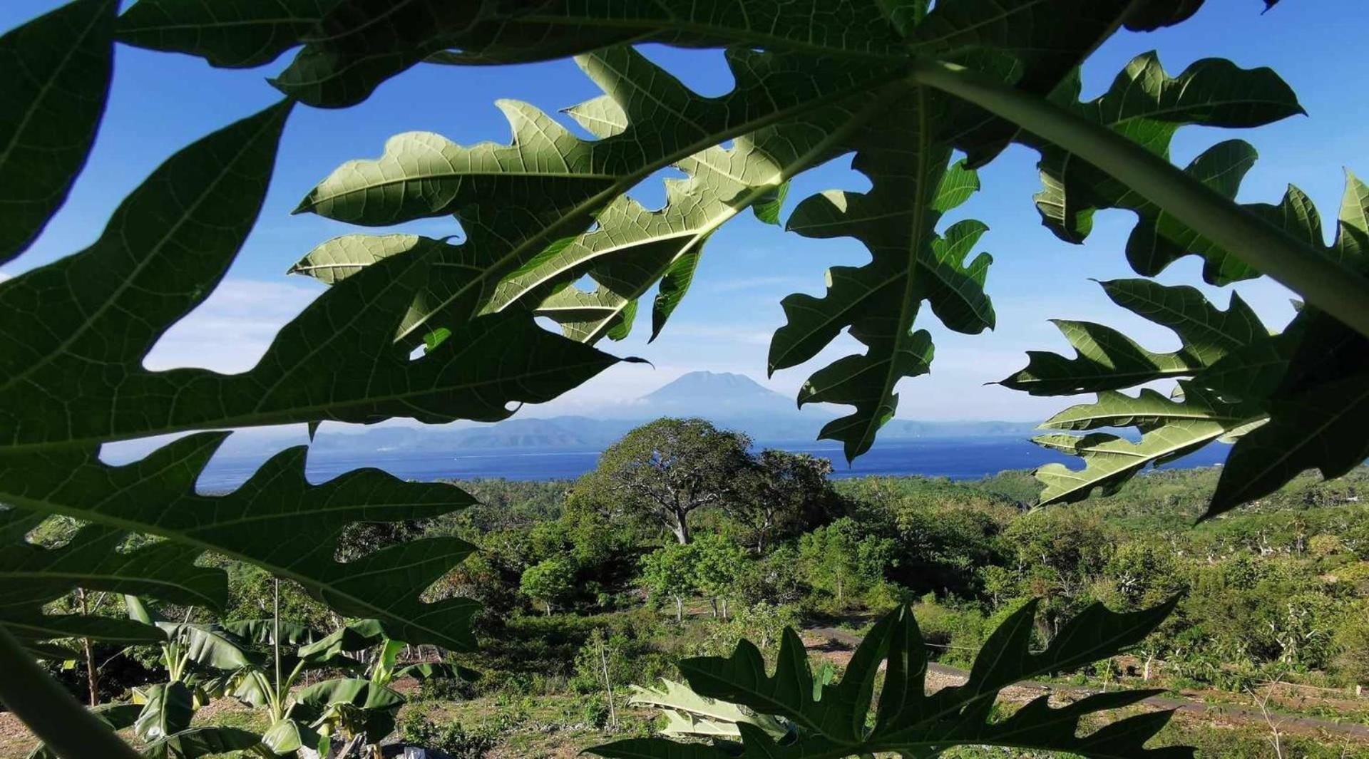 Eden Eco-Villas With Private Pool & Sea View - Adult Only Batumadeg Eksteriør bilde
